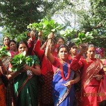 Community activities by Hasera Permaculure farm Nepal
